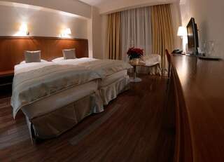 Отель Hotel Timisoara Тимишоара Четырехзвездочный одноместный номер бизнес-класса с бесплатным доступом в спа-центр-1